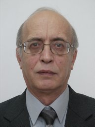 Oleg V Misochko