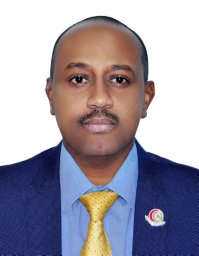 Tarik A. Mohamed