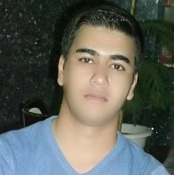 Amir Hadi