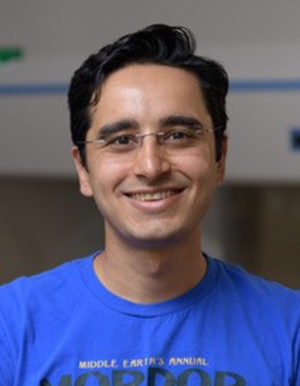 Saad Bhamla