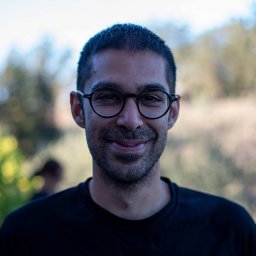 Hakhamanesh Mostafavi