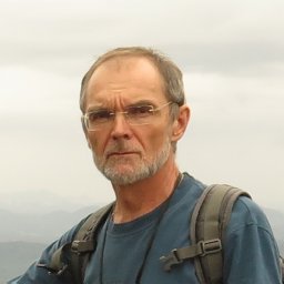 Temir A. Britayev