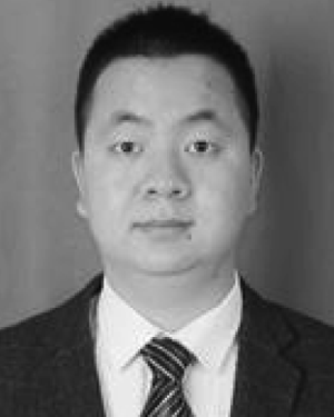 Shuai Peng Li