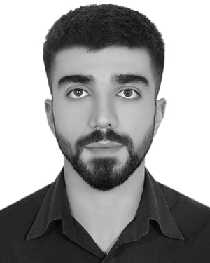 Sam Ansari