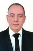 Sameh E. Ahmed