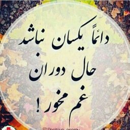 Bihamta Mohammad Reza