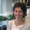 Elisabetta Citterio