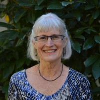 Deborah A. Finn