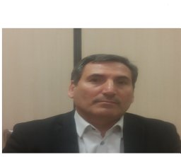 Borhanifar Abdollah