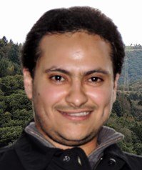 Wael A. Ahmad