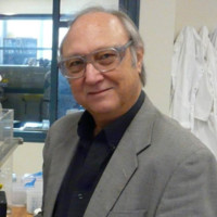 Neil Foster