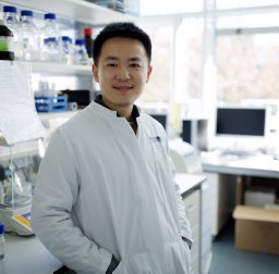 Chen Cheng