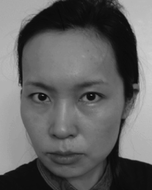 Cuicui Luo