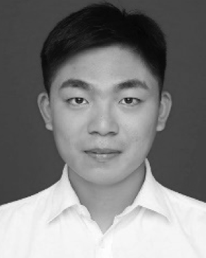 Qiqi Li