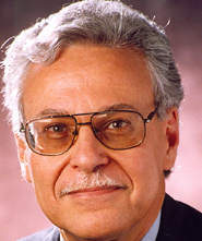 Said I. Abdel-Khalik