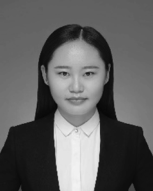 Qi Wu