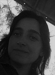 Sema Akay