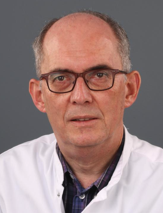 Rob L H Jansen