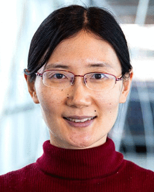 Yuan Li