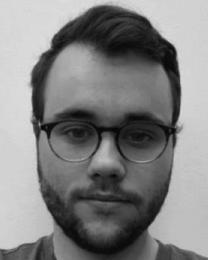 Raphael Henri