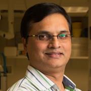 Kiran Mysore