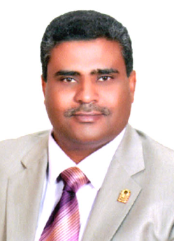 Aly Ahmed Abd-Ella Mohamed