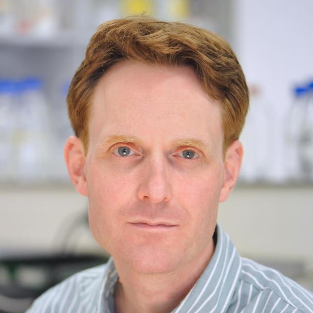 Daniël A. Pijnappels
