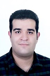 M. Namazizadeh