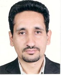 Mohamad hasan Larizadeh