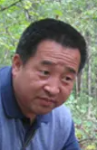 Zhenyue Wang