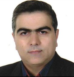 S.M.Vahid Farabi