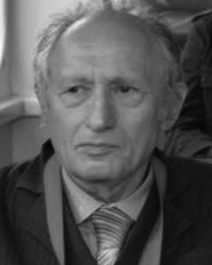 D. I. Tetelbaum