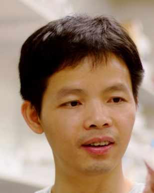 Yan Chen