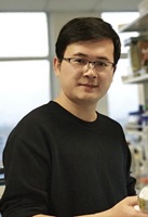 Yanpeng Wang