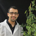 Nadim Tayeh