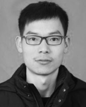 Fei Li