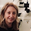 Emanuela Volpi