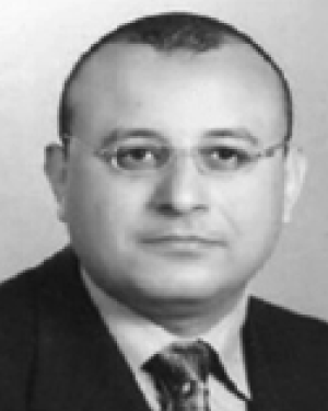 Abdelghafar R. Elshenaway