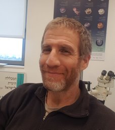 Zafrir Kuplik
