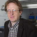 Alain Bergel