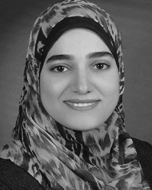Hussein, D.N.