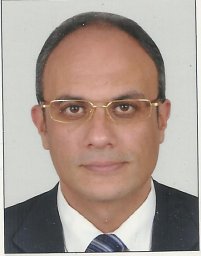 Tarek El-Fiky