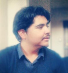 Mauricio A. Sarabia-Vallejos