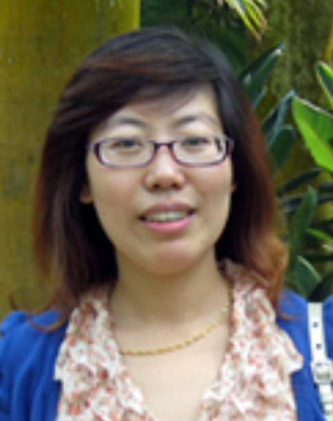 Xiaojuan Sun