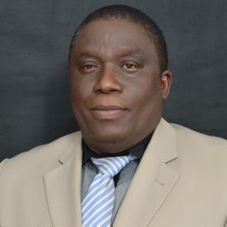 Victor Olugbenga Olumekun