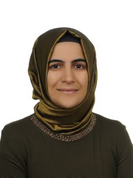 Emine Sirin