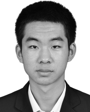 Zhanlei Liu
