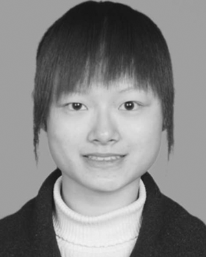 Qingxin Li