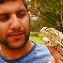 Jared Wilson-Aggarwal