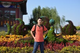 Bin Zhang